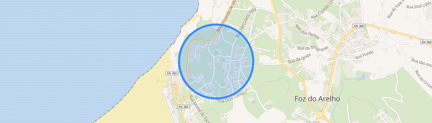 listing-map-picture