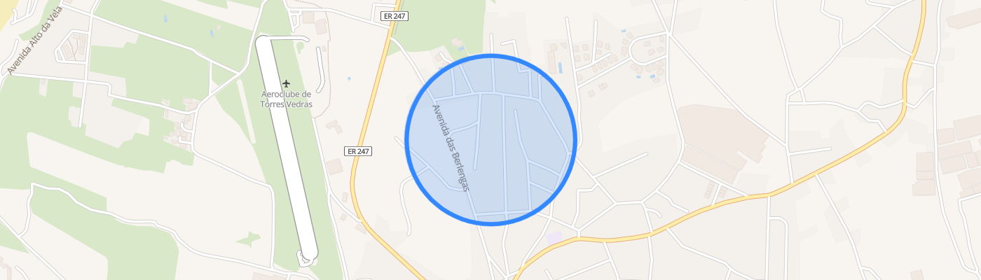 listing-map-picture