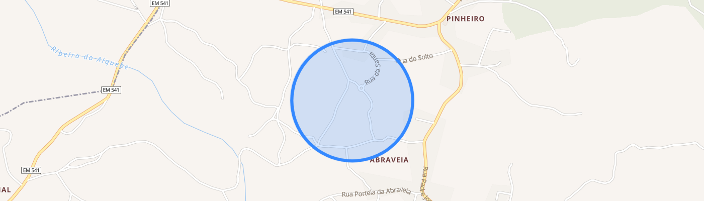 listing-map-picture