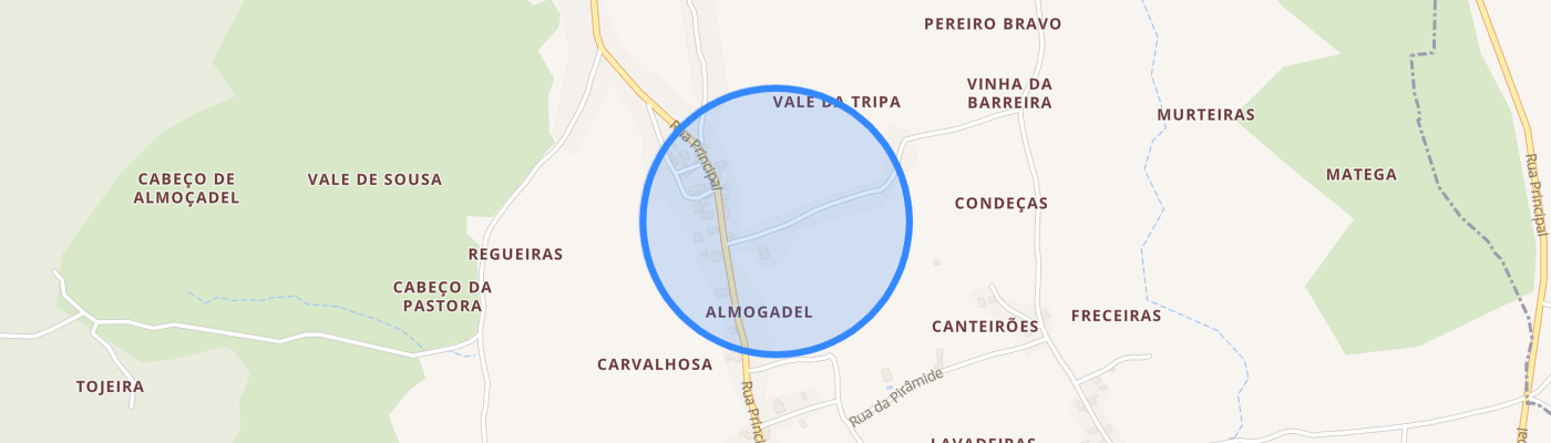 listing-map-picture