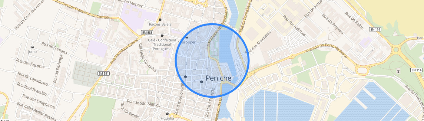 listing-map-picture
