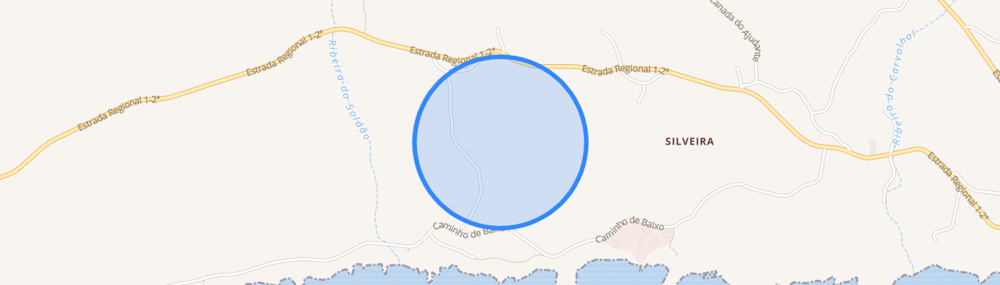 listing-map-picture