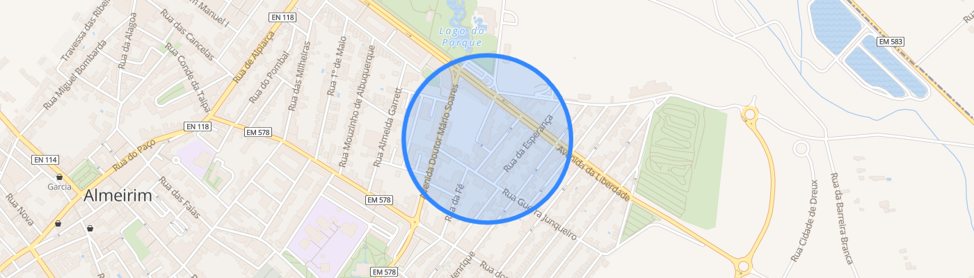 listing-map-picture