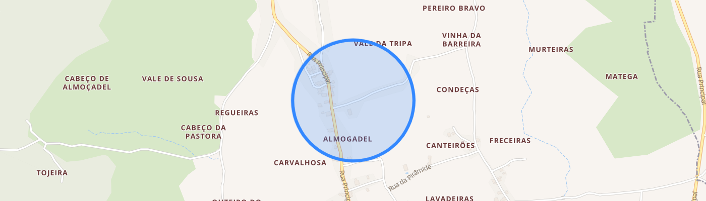 listing-map-picture