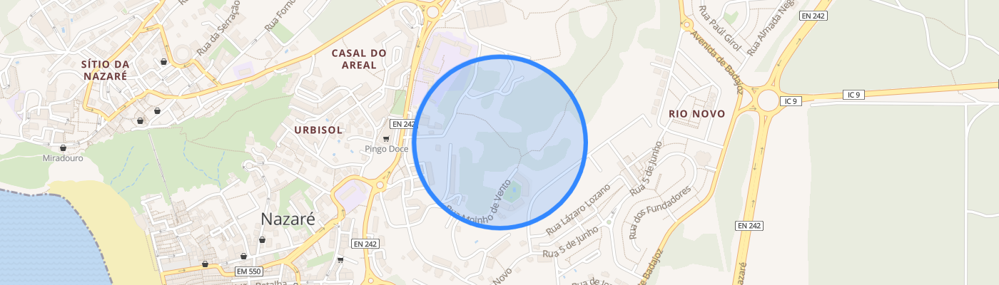 listing-map-picture