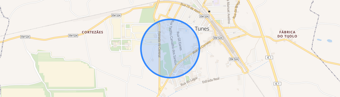 listing-map-picture
