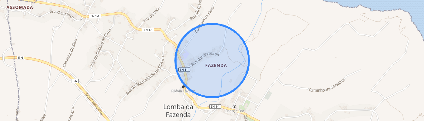 listing-map-picture