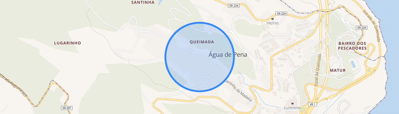 listing-map-picture