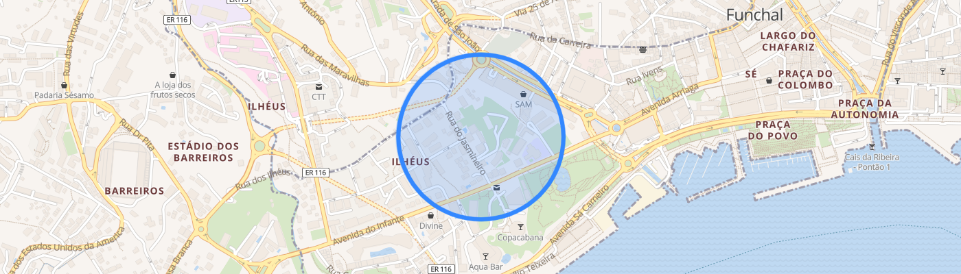 listing-map-picture