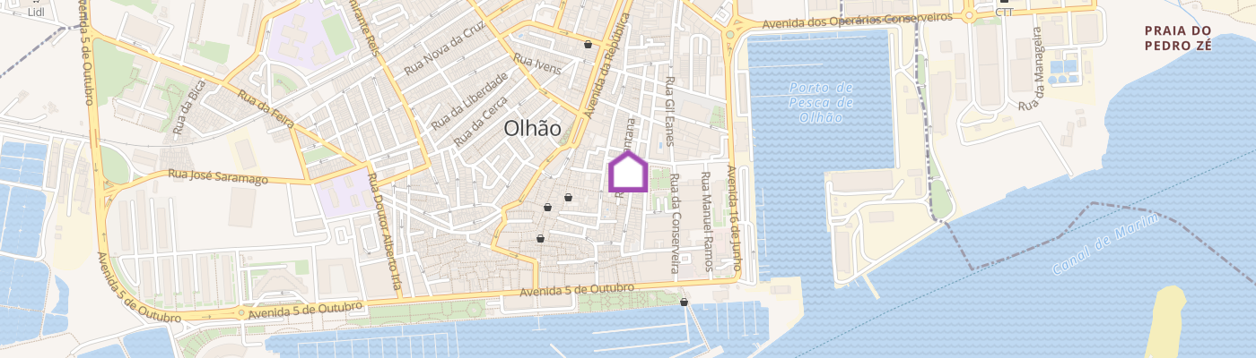 listing-map-picture