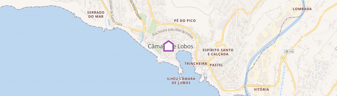 listing-map-picture