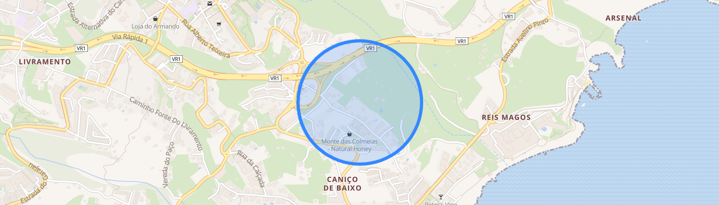 listing-map-picture