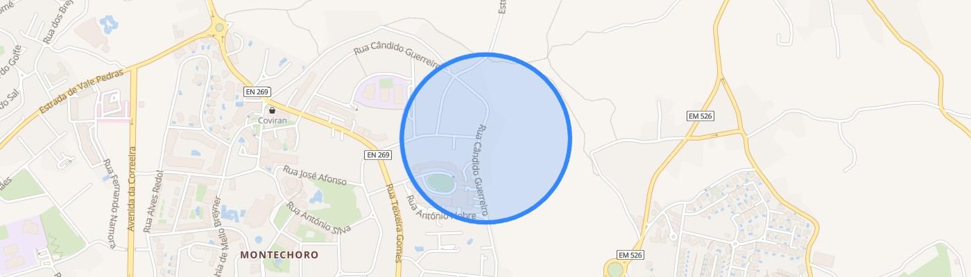 listing-map-picture