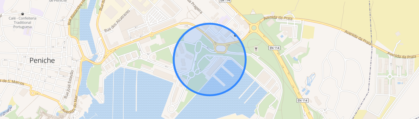 listing-map-picture