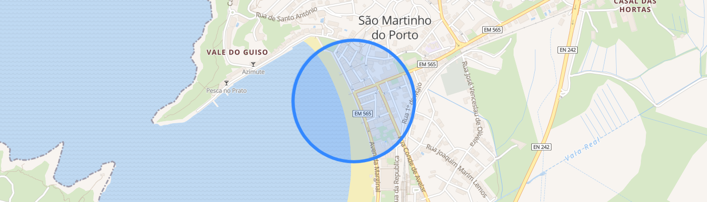 listing-map-picture