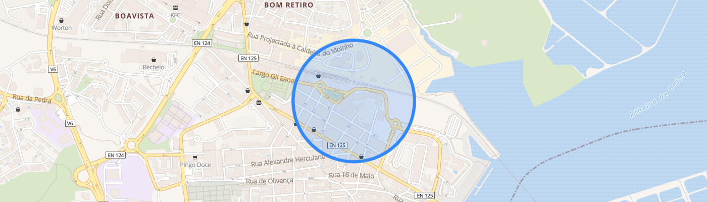 listing-map-picture