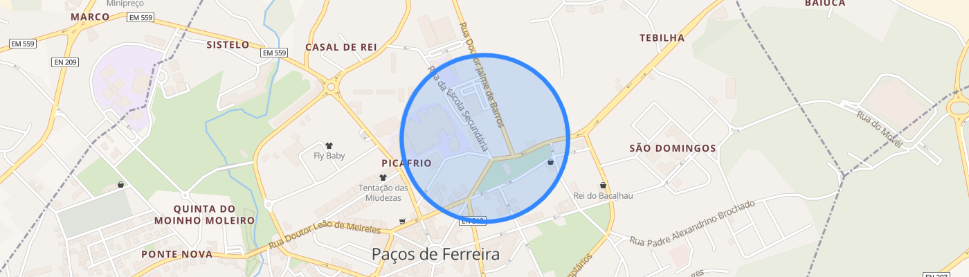 listing-map-picture