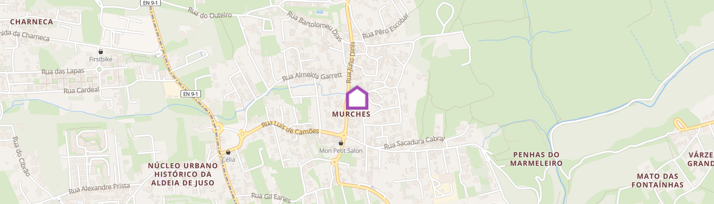 listing-map-picture