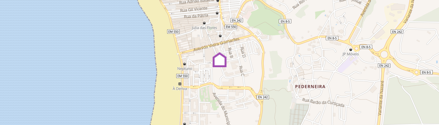 listing-map-picture