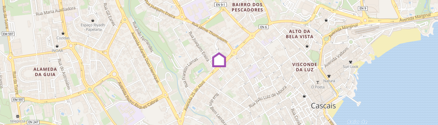 listing-map-picture