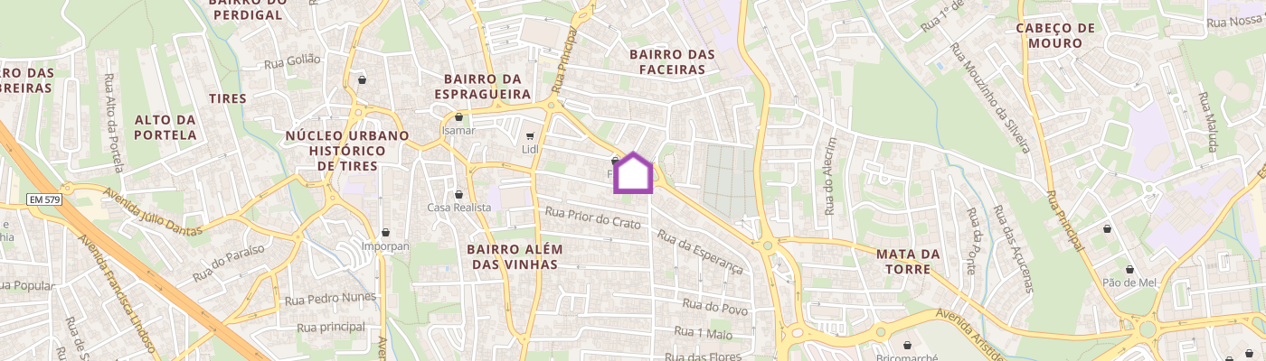 listing-map-picture