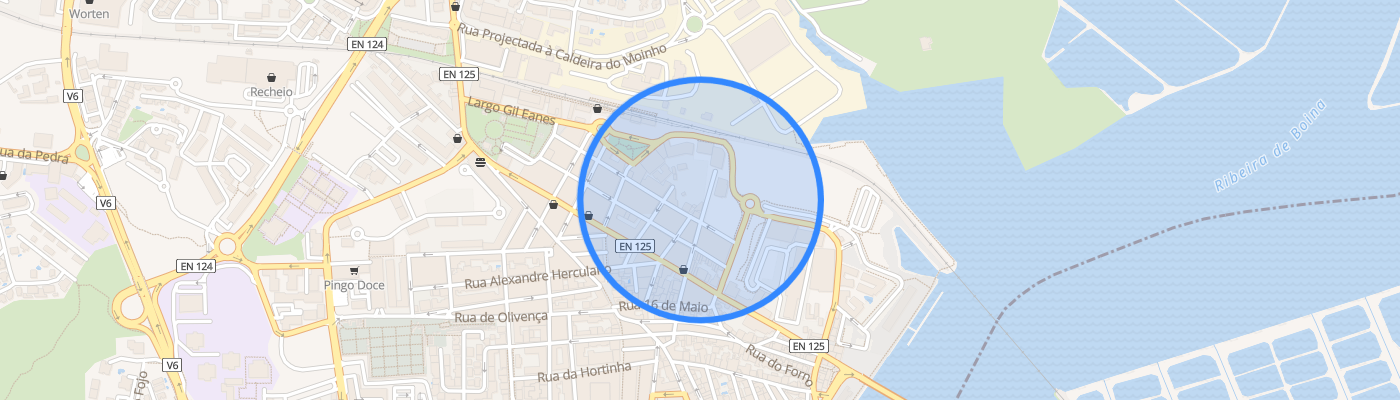 listing-map-picture