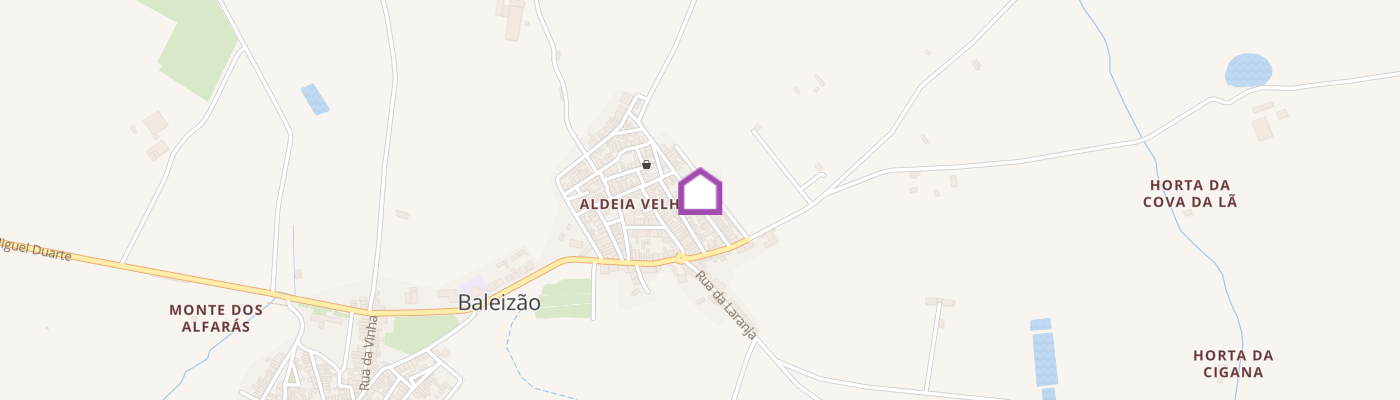 listing-map-picture