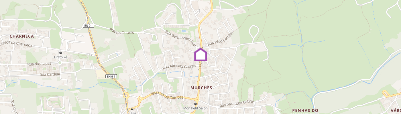 listing-map-picture