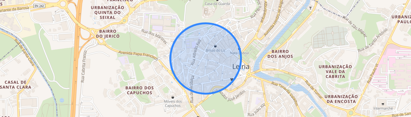 listing-map-picture
