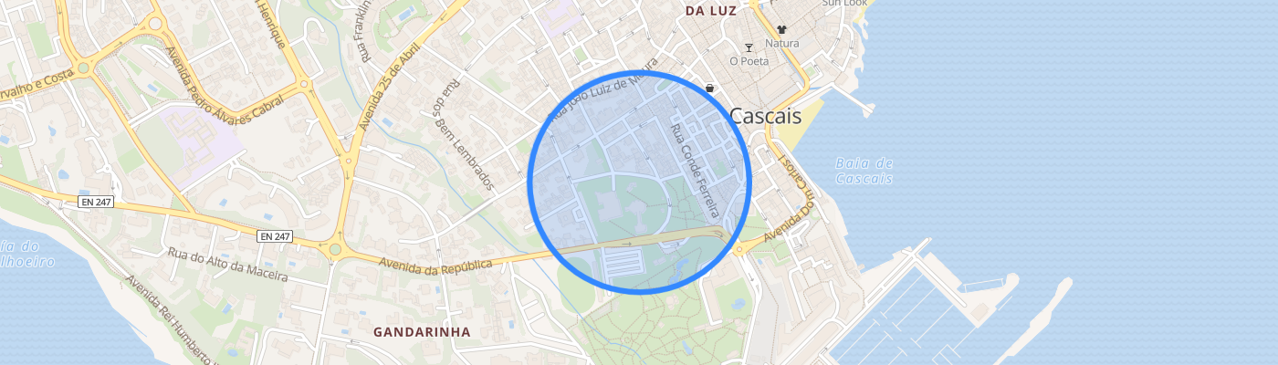listing-map-picture