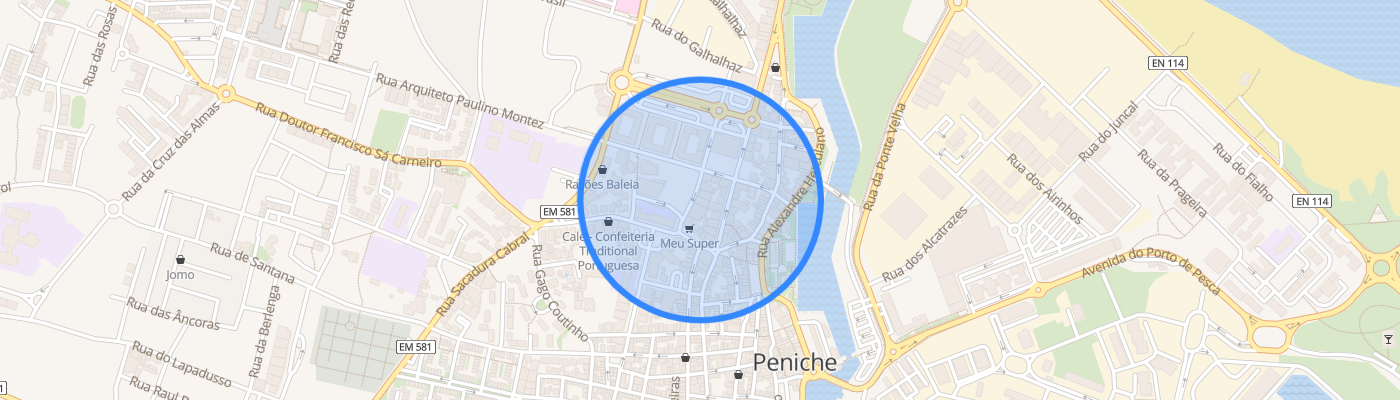 listing-map-picture