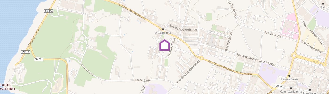 listing-map-picture