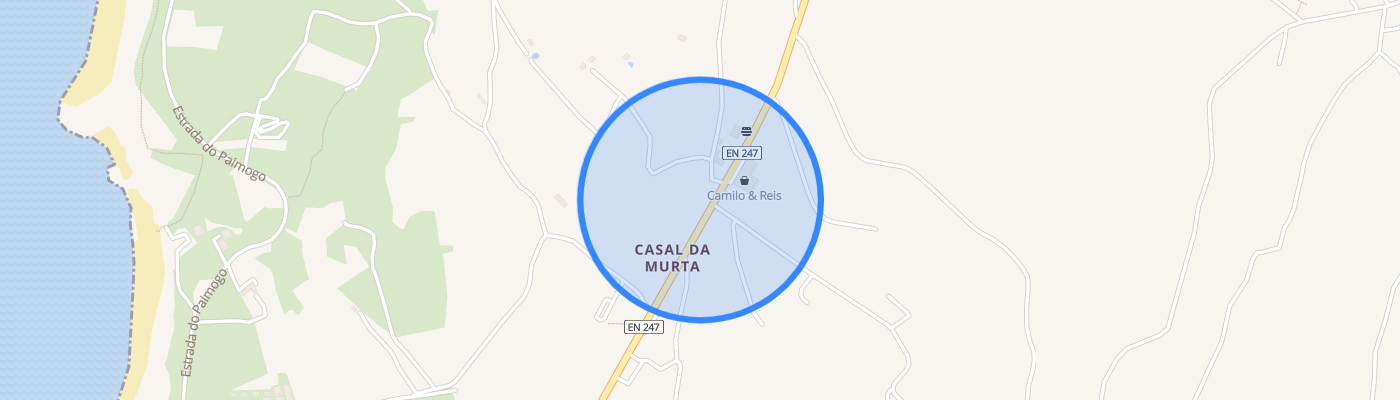 listing-map-picture