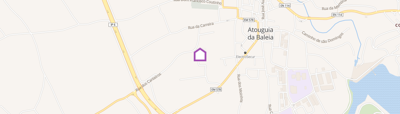 listing-map-picture