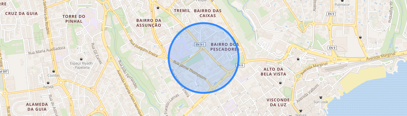 listing-map-picture