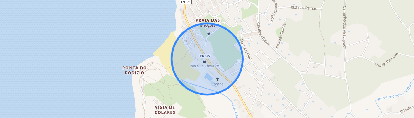 listing-map-picture