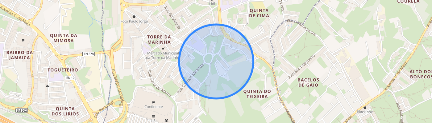 listing-map-picture