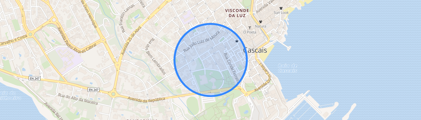 listing-map-picture