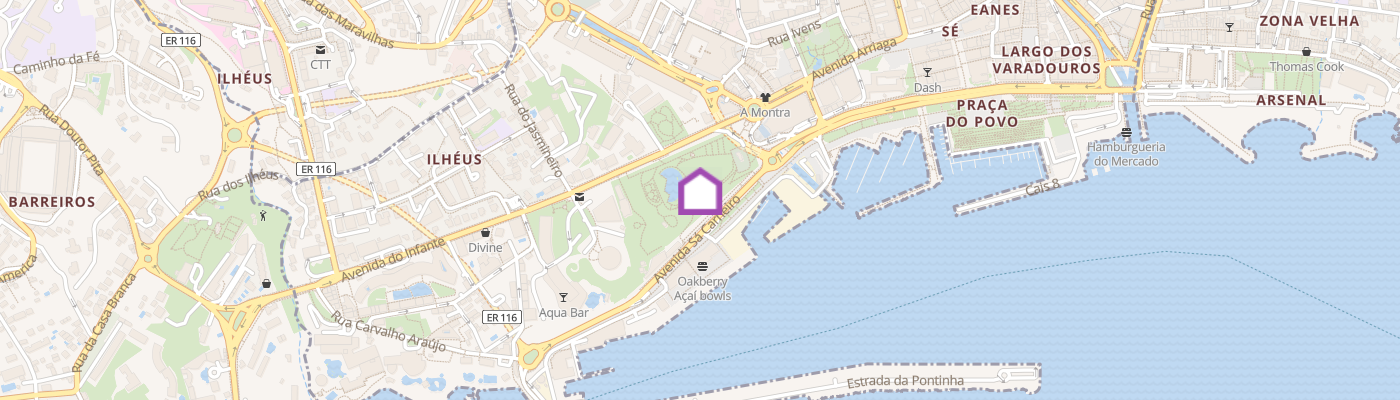 listing-map-picture