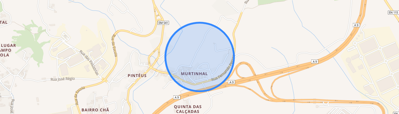 listing-map-picture