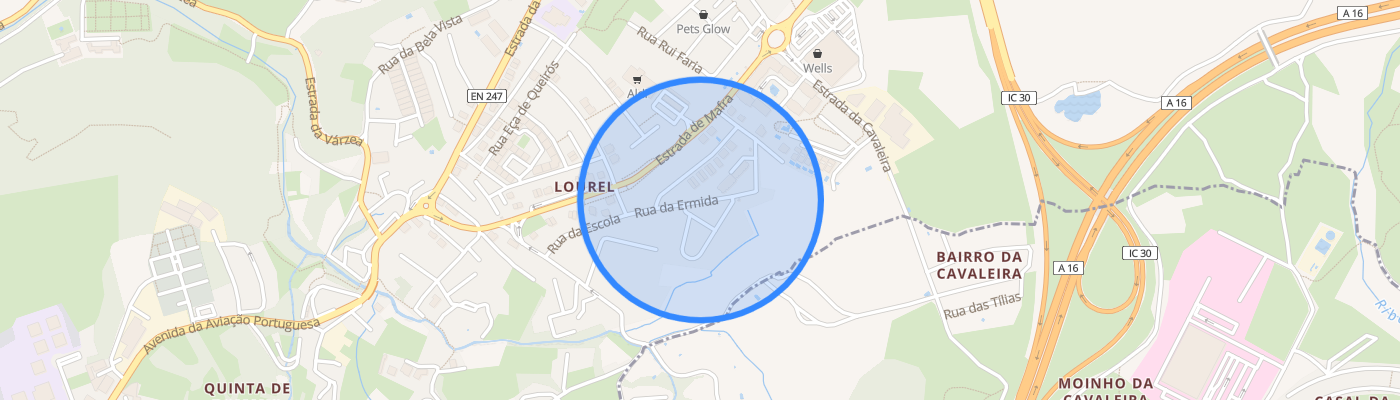 listing-map-picture