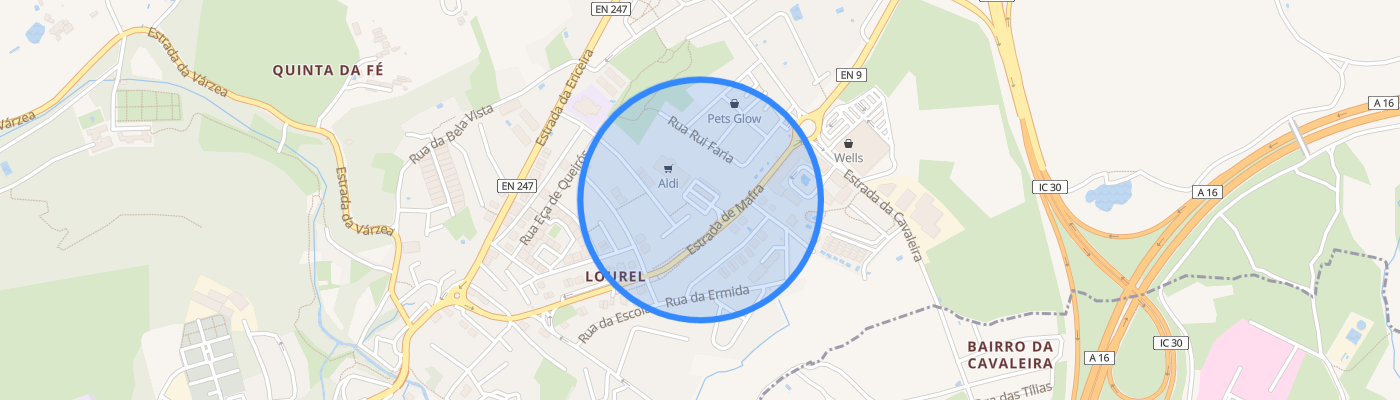 listing-map-picture