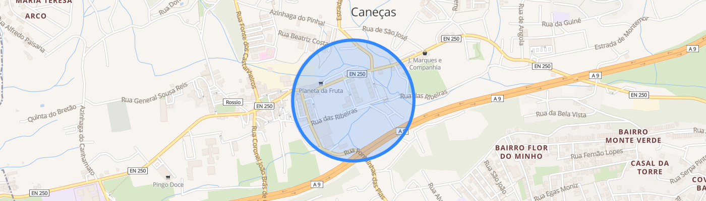 listing-map-picture