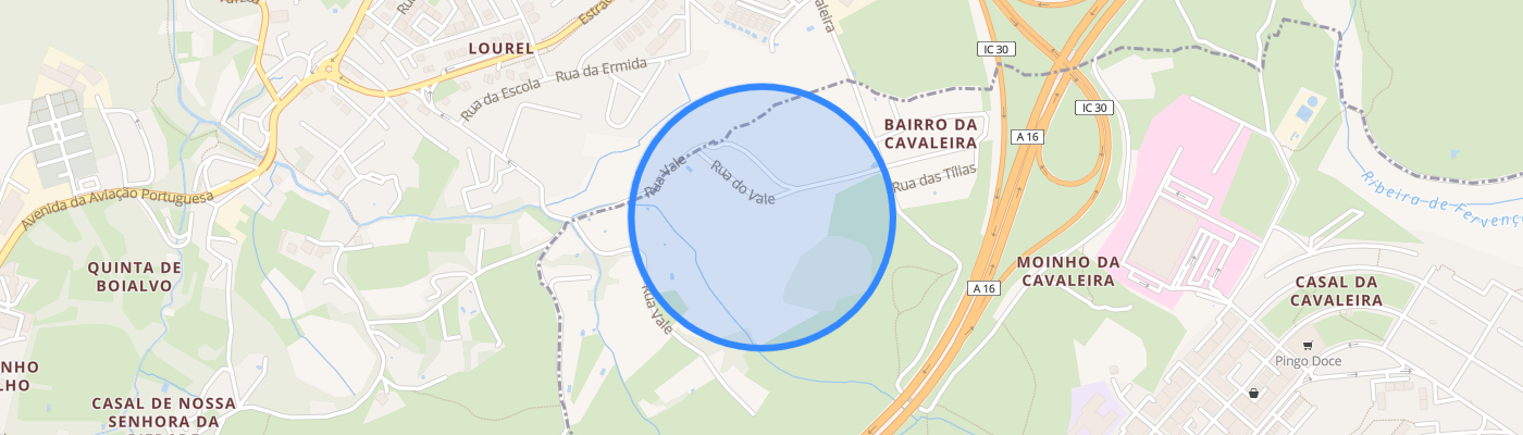 listing-map-picture