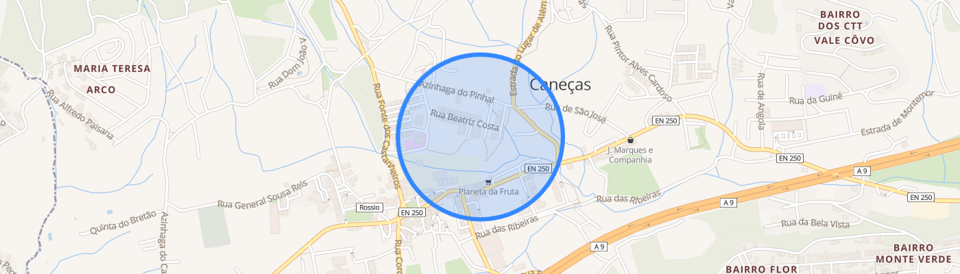 listing-map-picture
