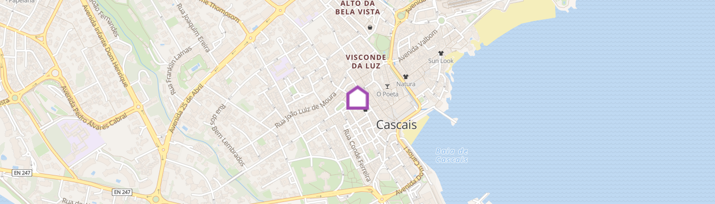 listing-map-picture