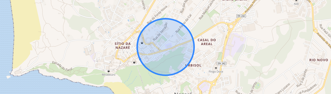 listing-map-picture