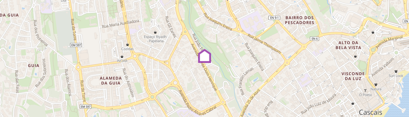 listing-map-picture