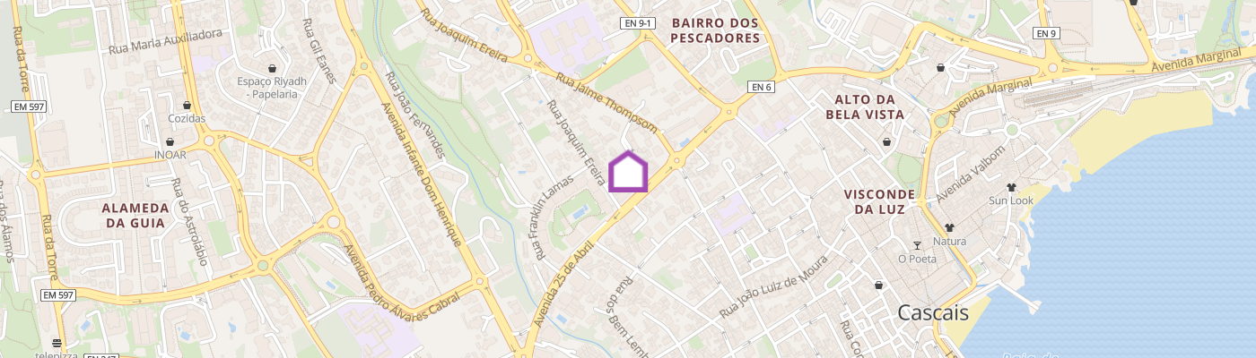 listing-map-picture