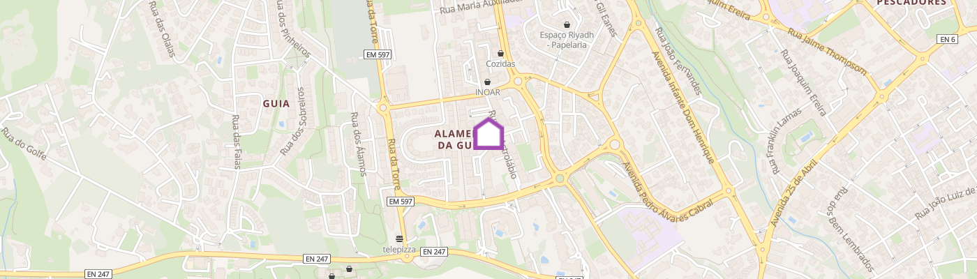 listing-map-picture